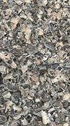 Dry Turkey Tail