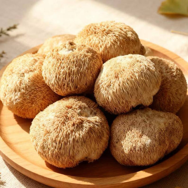 Dry Lions Mane Mushrooms