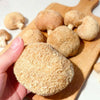 Dry Lions Mane Mushrooms