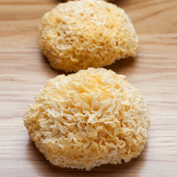 Dry Tremella Mushroom