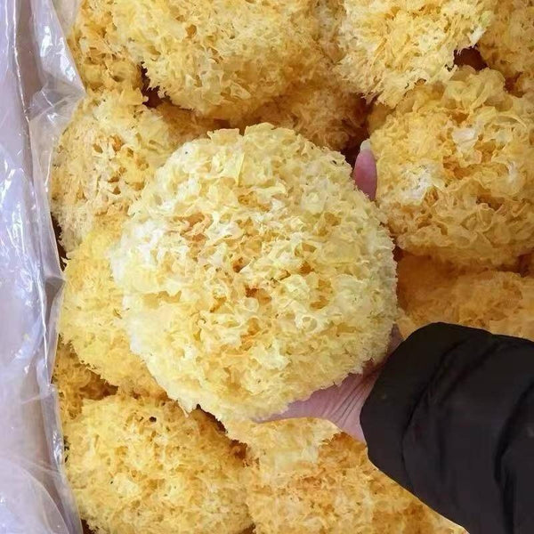 Dry Tremella Mushroom