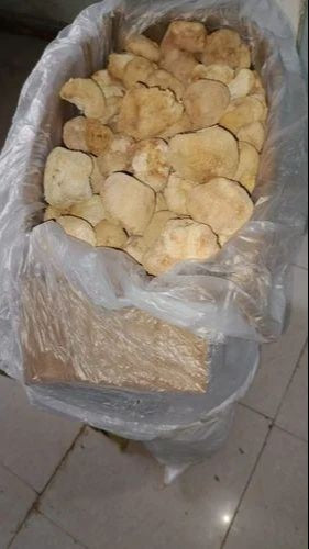 Dry Lions Mane Mushrooms